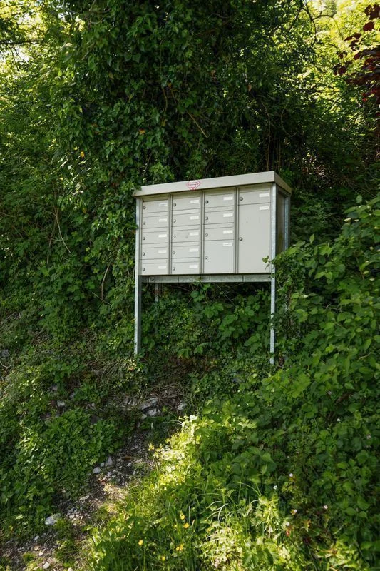 Europe’s New Digital Admin Trap: What Happens When Your Entire Life Depends on One App?